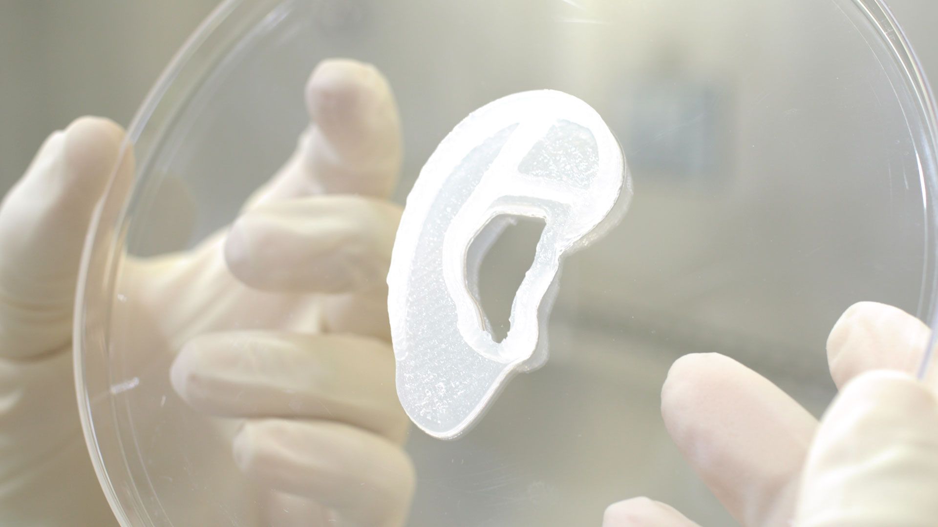 A 3D-printed ear.