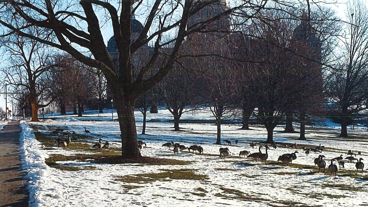 A photo of geese at the Iowa Capitol.