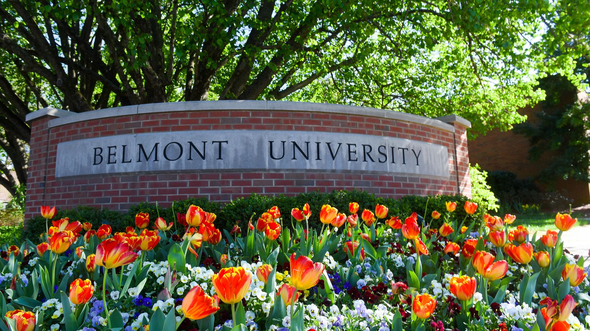 Image of the entrance of Belmont. A stone sign surrounded by a bed of vibrant tulips.