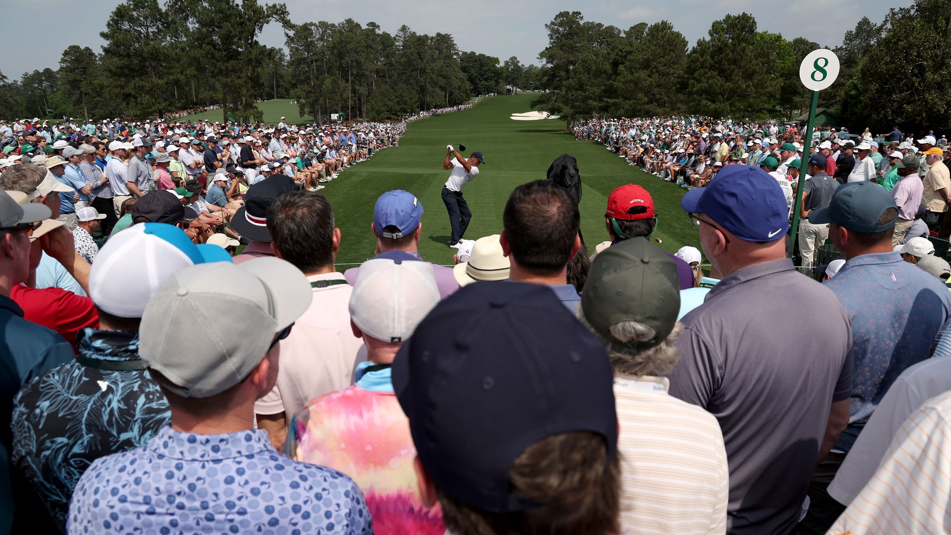 tiger teeing off