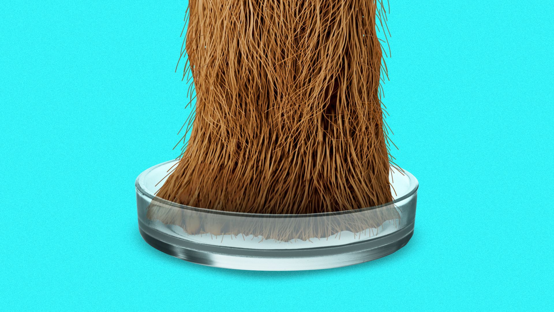 Illustration of a mammoth foot in a petri dish.