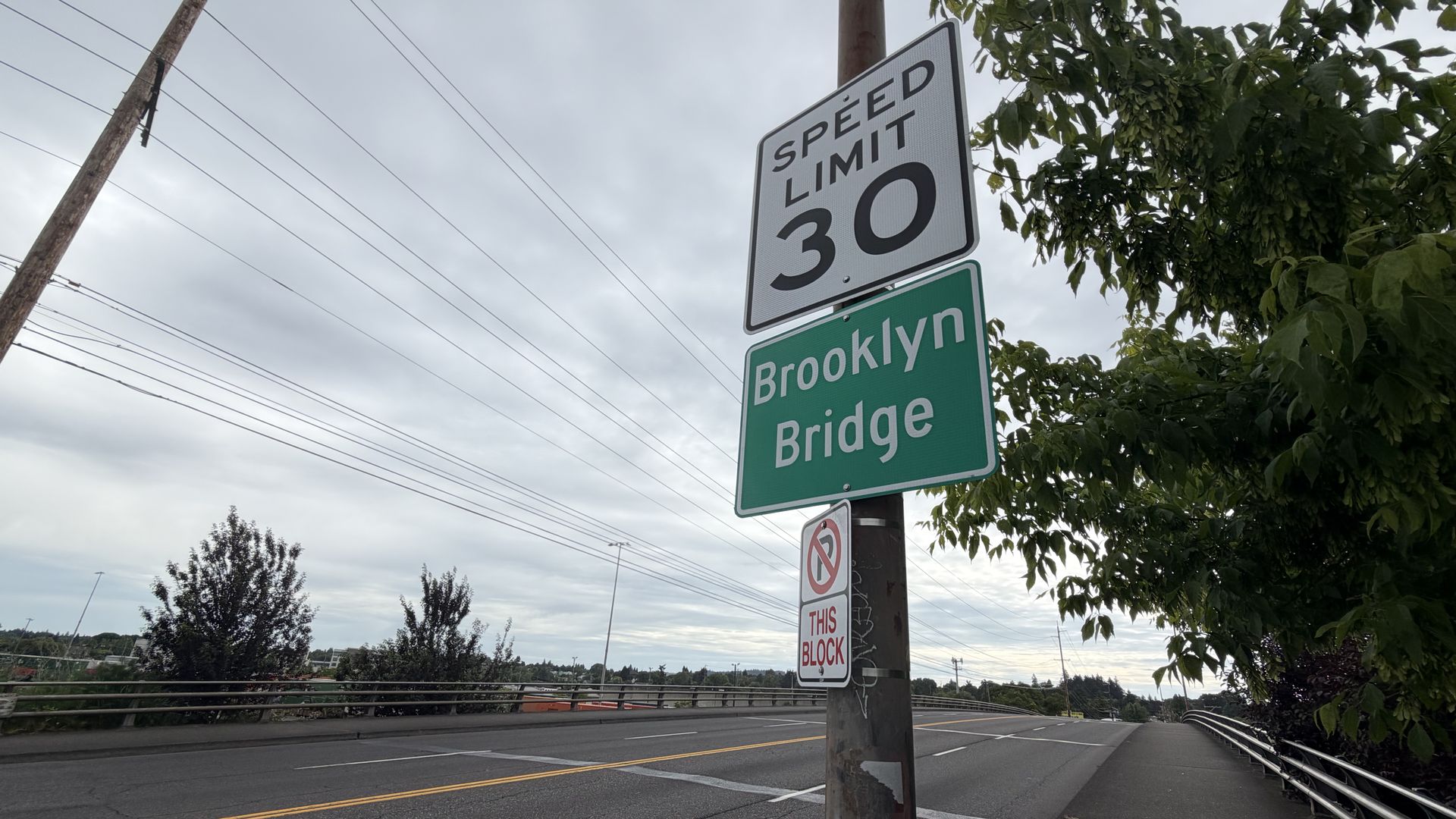 Overcast street scene with a tall utility pole and power lines. A Speed Limit 30 sign sits above a green Brooklyn Bridge sign; a curving road with guardrails and leafy trees.