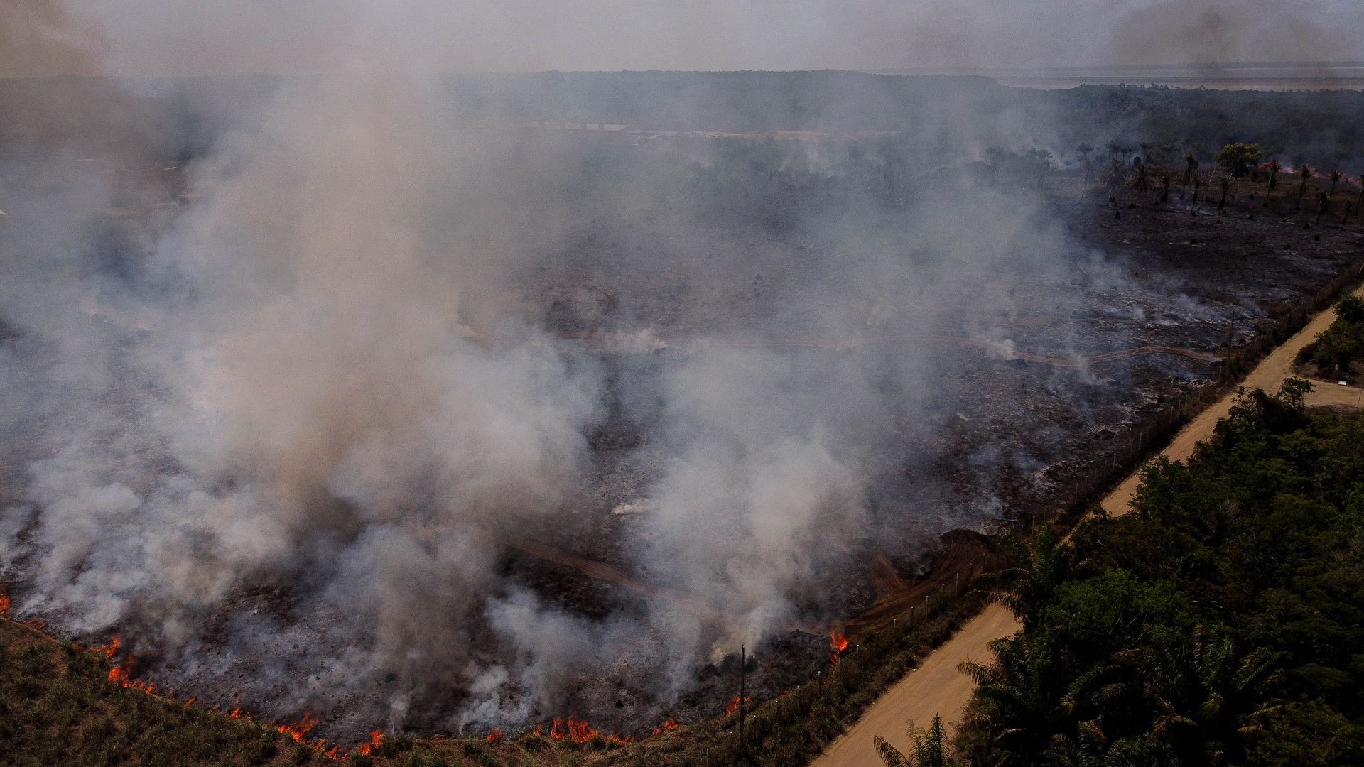 Picture of part of the burning Amazon forest in 2023.