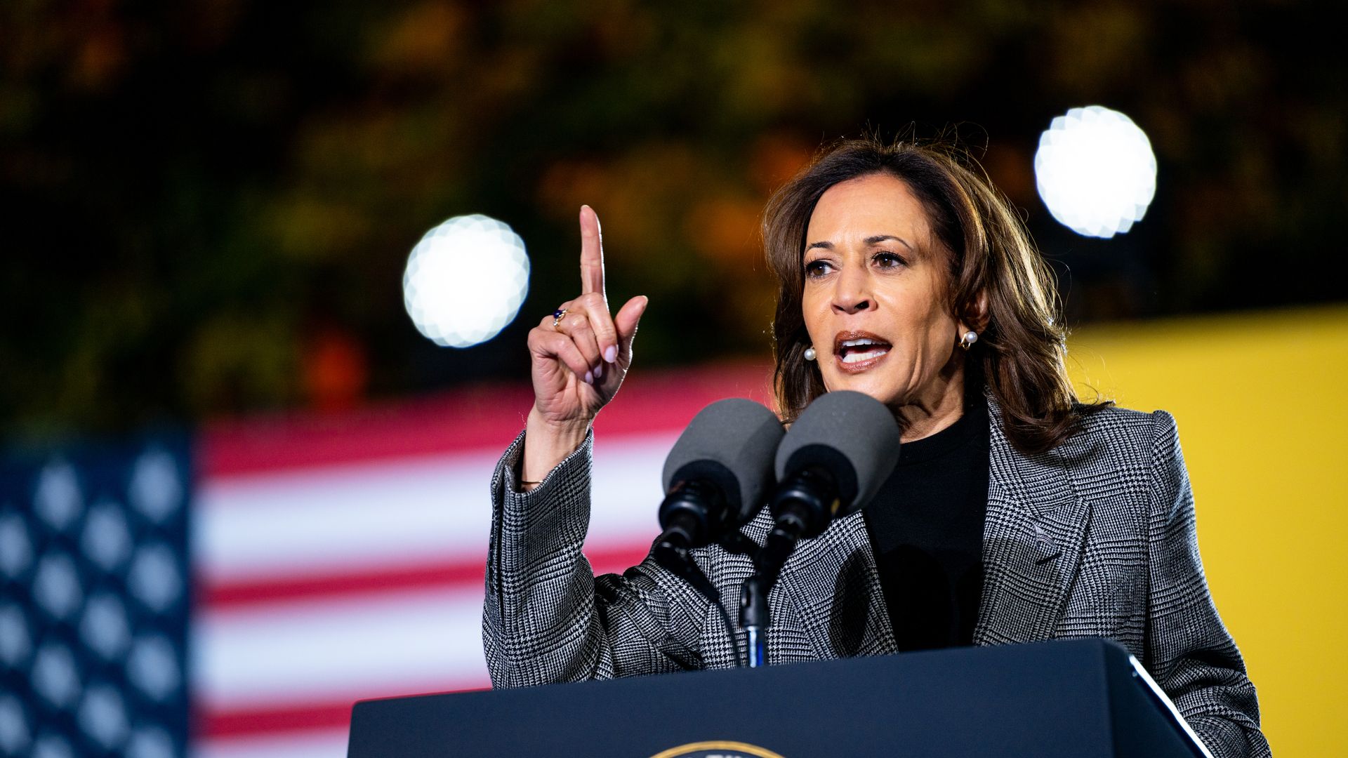 Kamala Harris speaks during a campaign rally on October 28, 2024 in Ann Arbor, Michigan