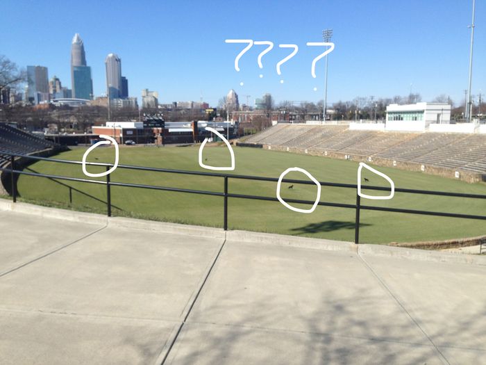 american legion memorial stadium