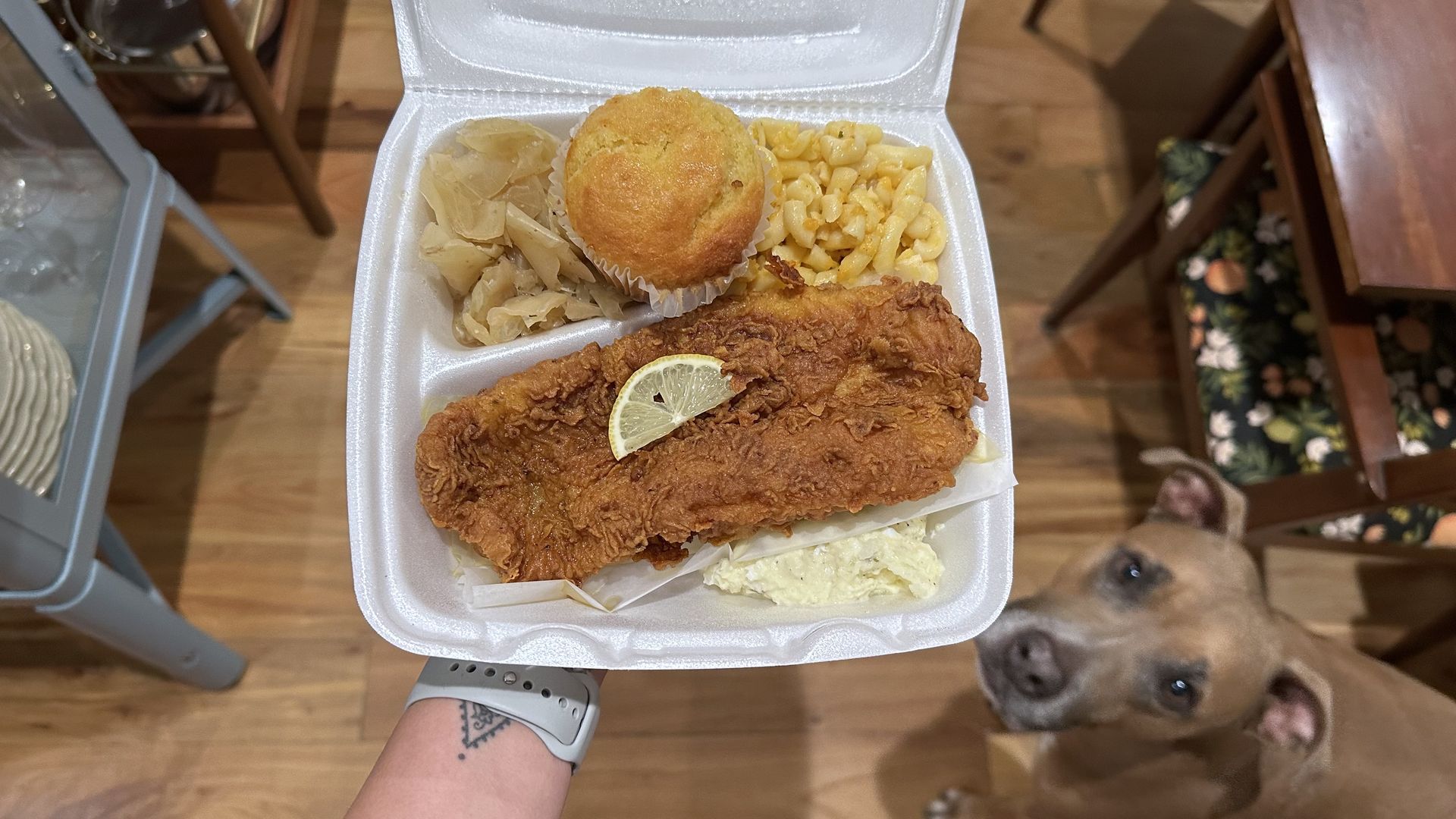 A person holds up a styrofoam takeout clamshell filled with fried fish, a cornbread muffin, mac and cheese and cabbage. Potato salad is seen underneath the fish. A dog looks up at the food from the floor.