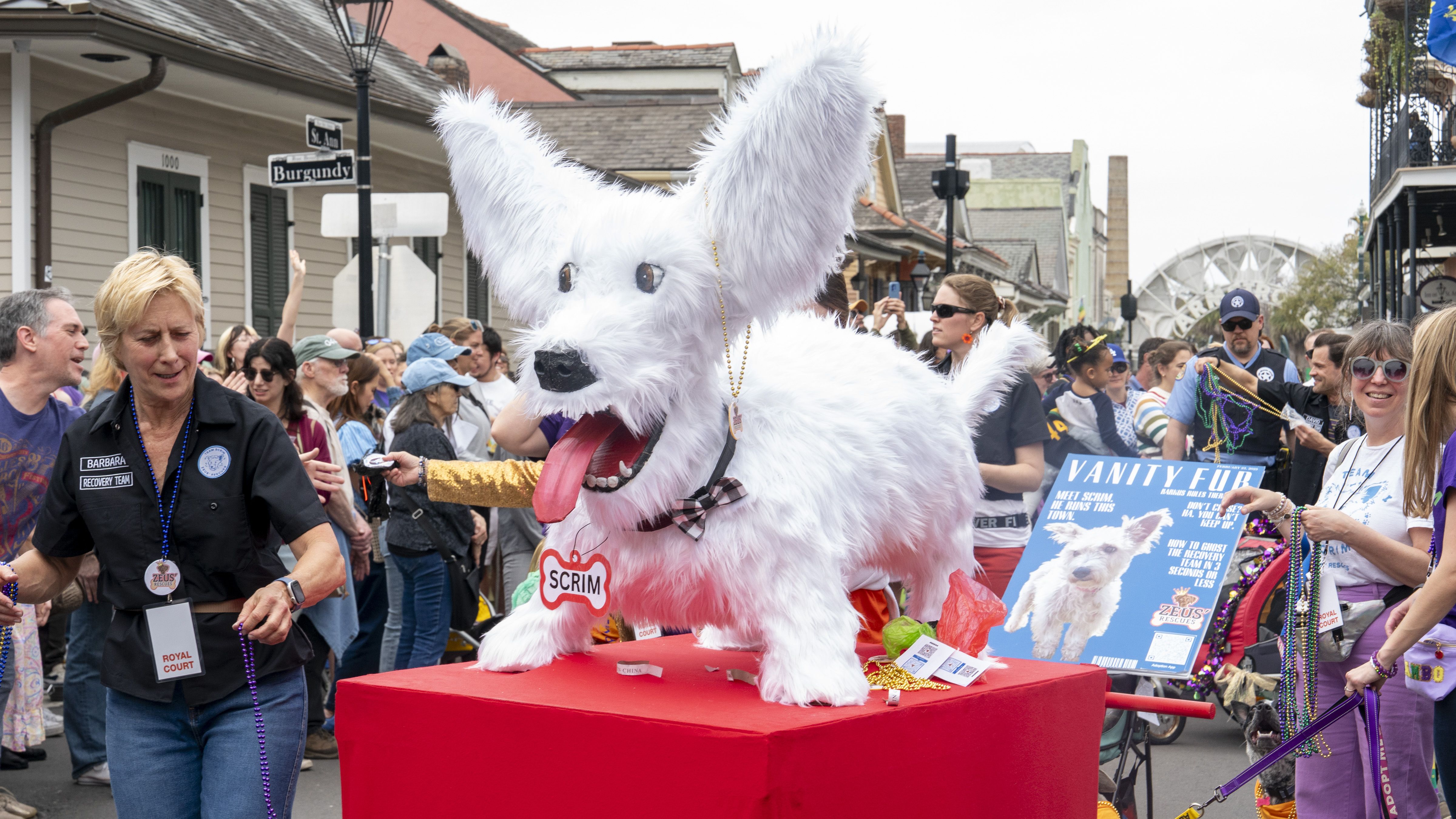 A Scrim-themed float rolls in the Krewe of Barkus Parade in the French Quarter during the 2025 Mardi Gras.