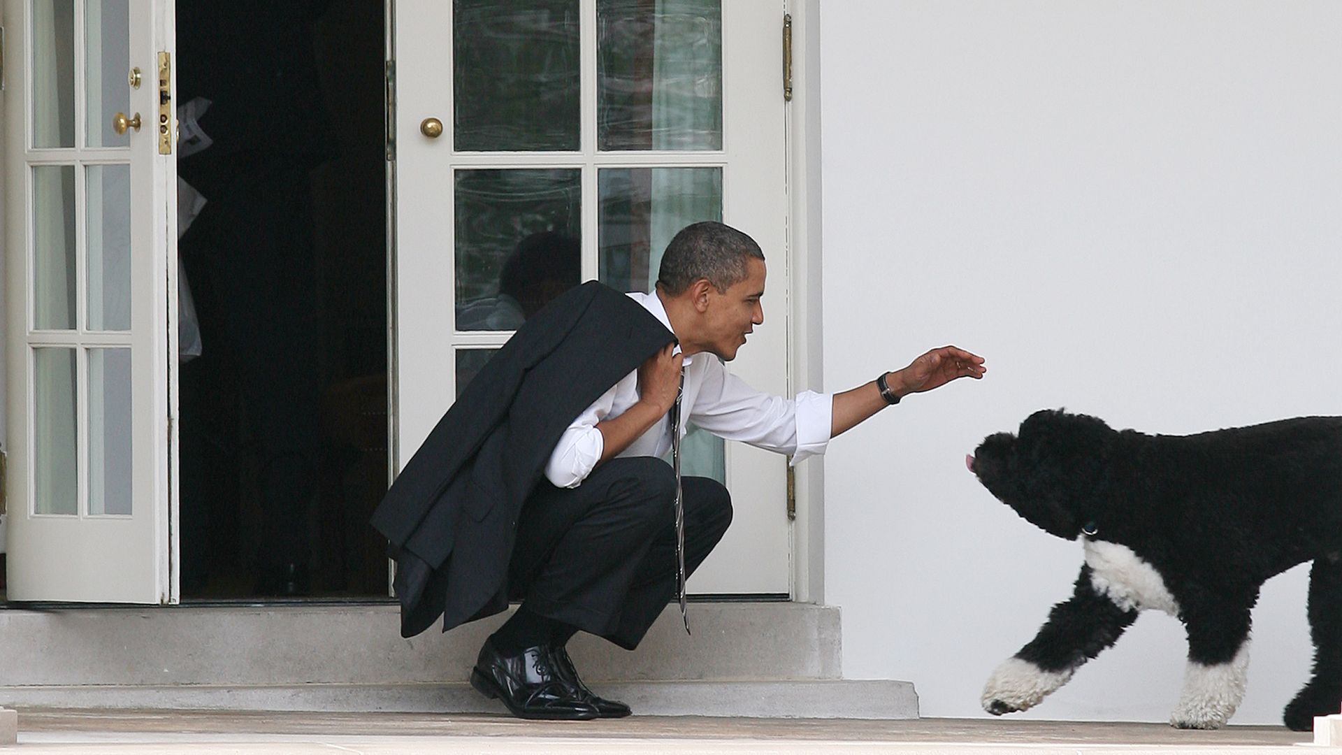 President Barack Obama greets his dog Bo outside the Oval Office of the White House March 15, 2012 in Washington, DC. 