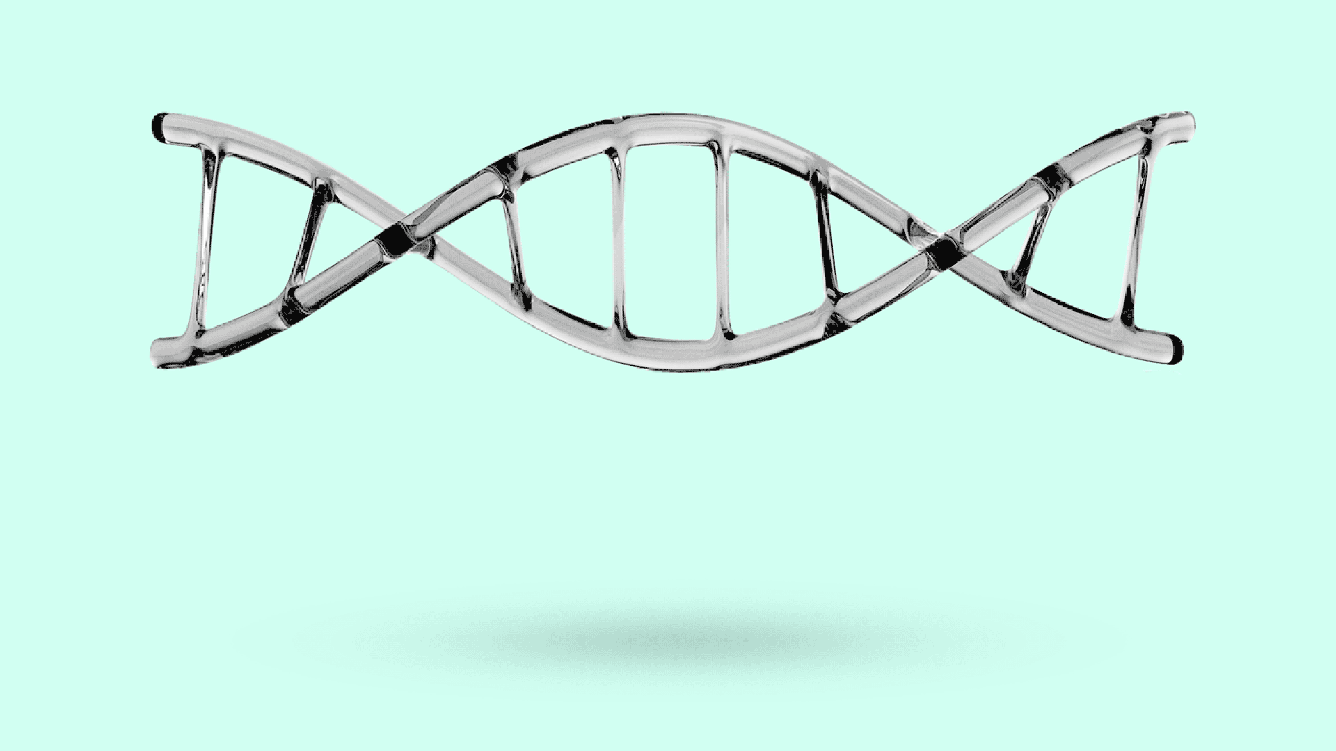 A bouncing DNA strand