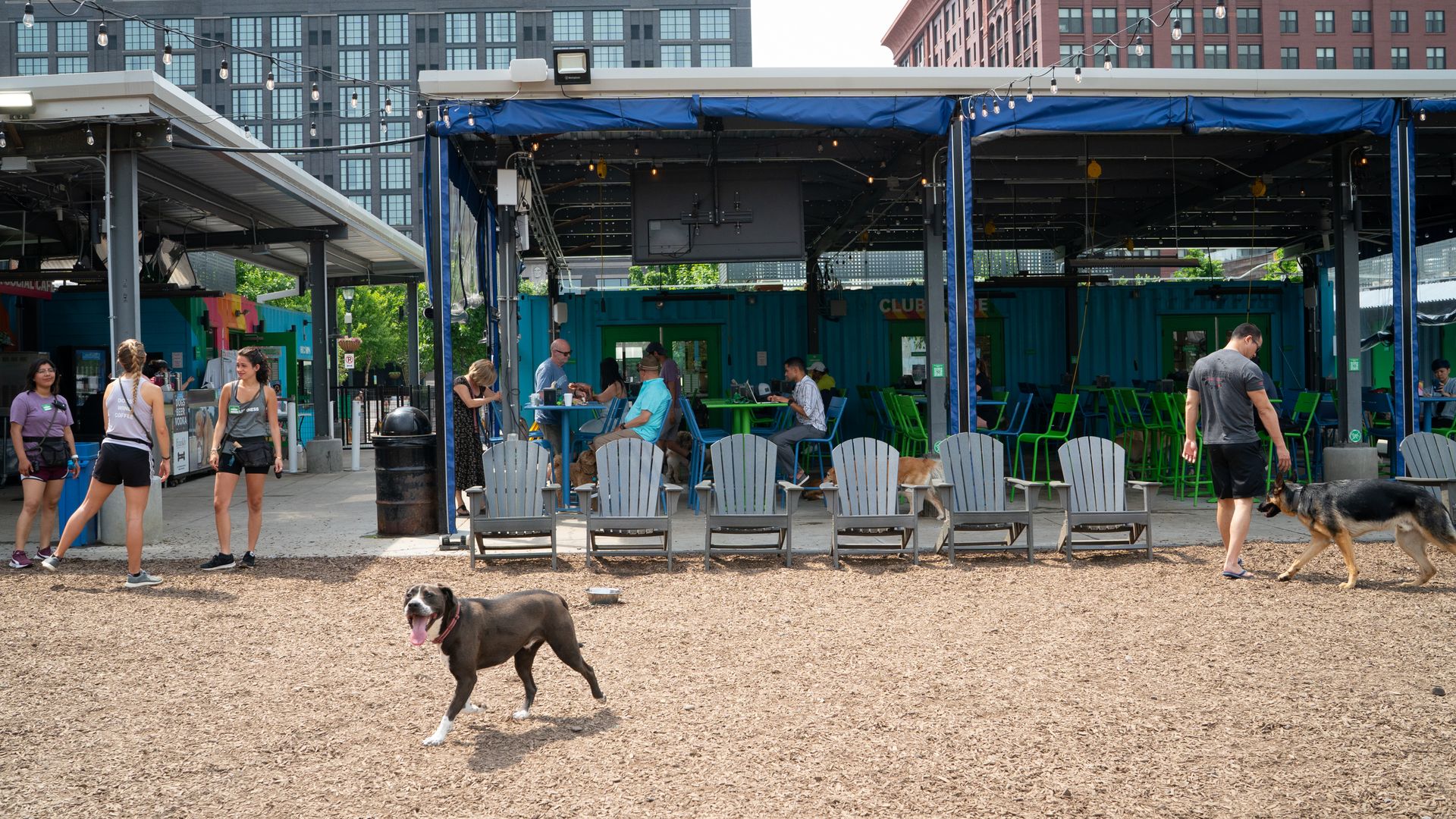 A photo showing a dog running in a park in front of a bar.