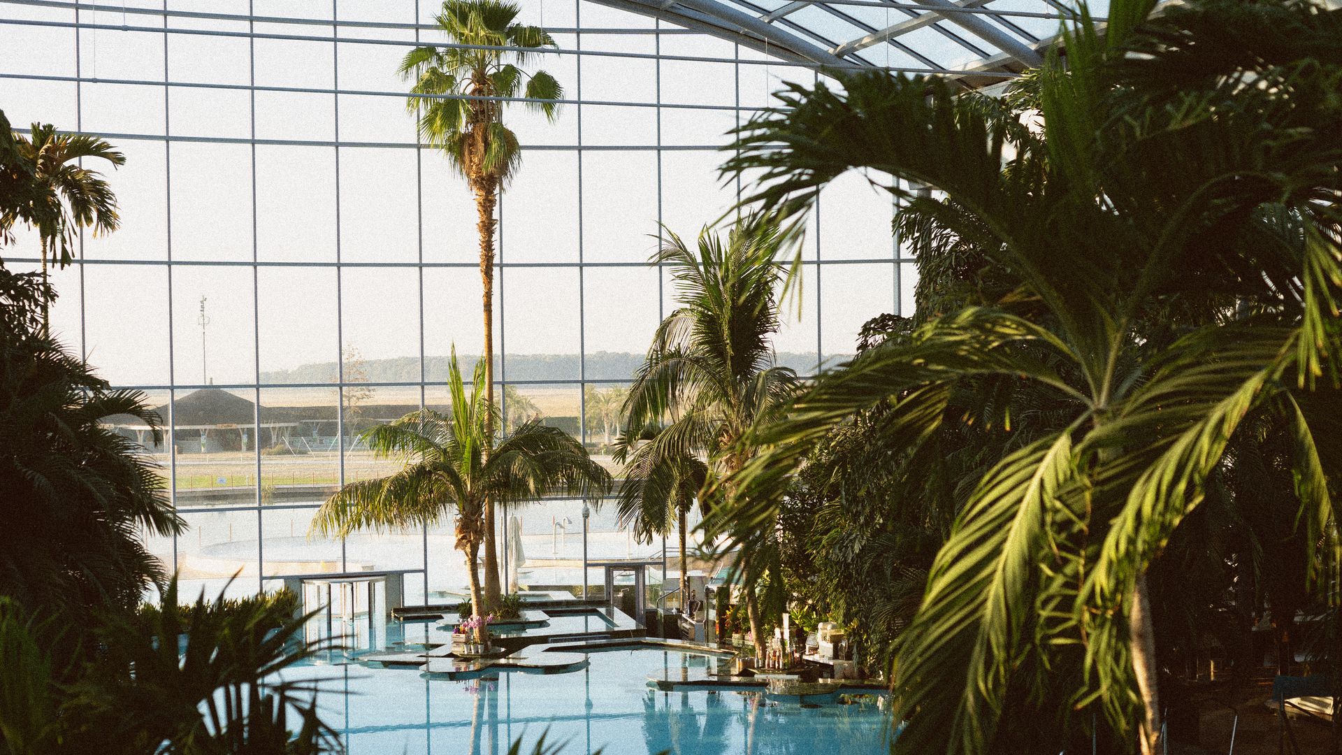 A tropical indoor spa features palm trees, a large pool, and a glass-domed ceiling with views of the outdoors.