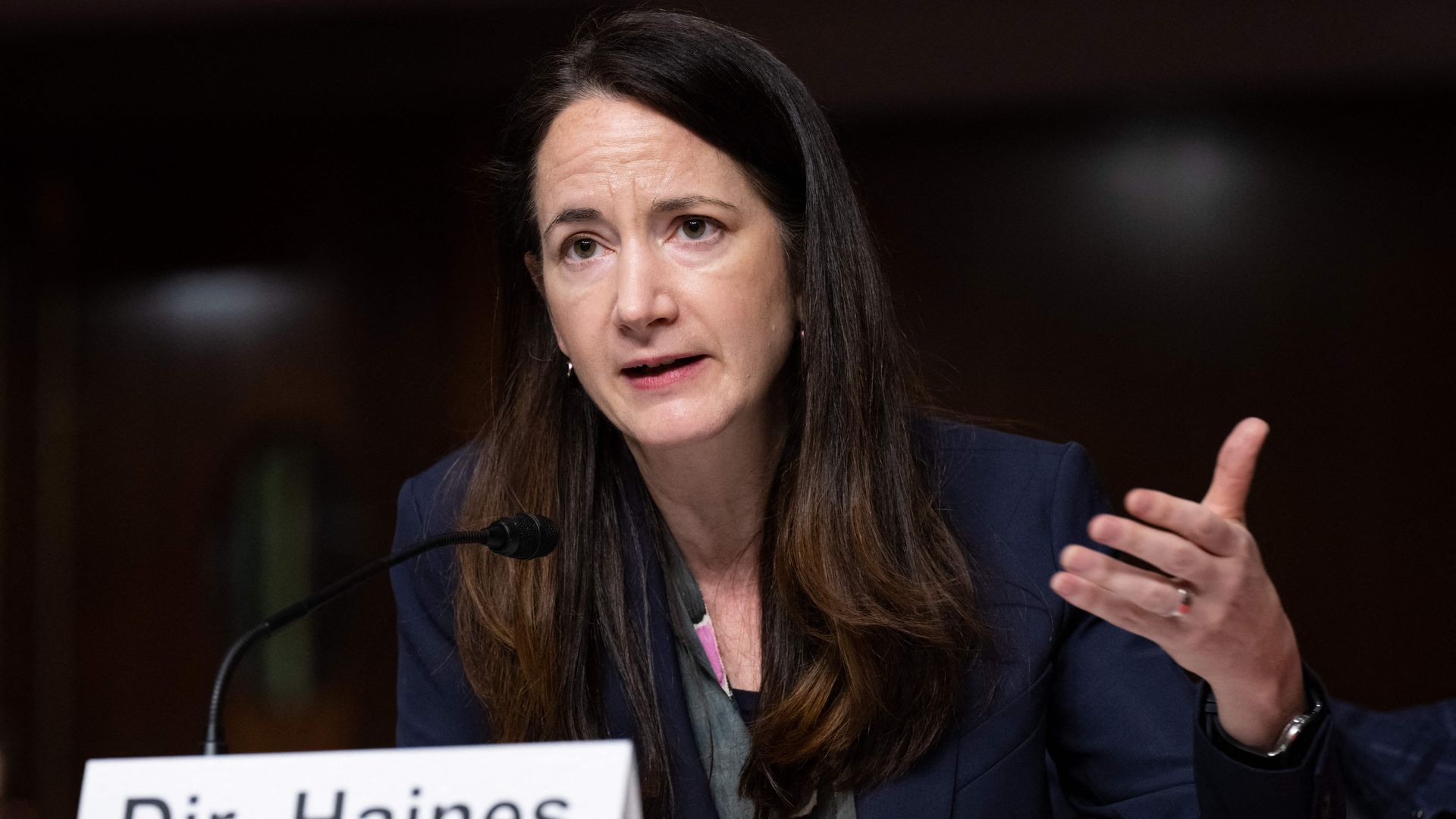 DNI Avril Haines is seen addressing the Senate Armed Services Committee on Tuesday.