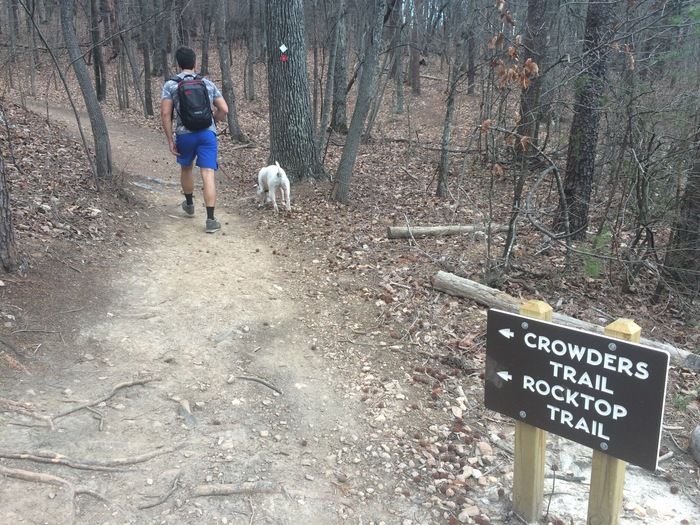 crowders_mountain_hiking_trail-1