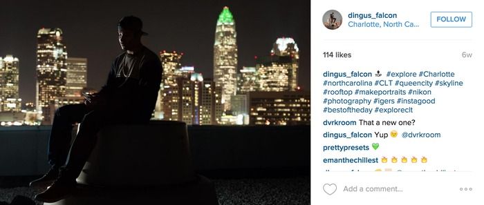 dingus falcon photographer