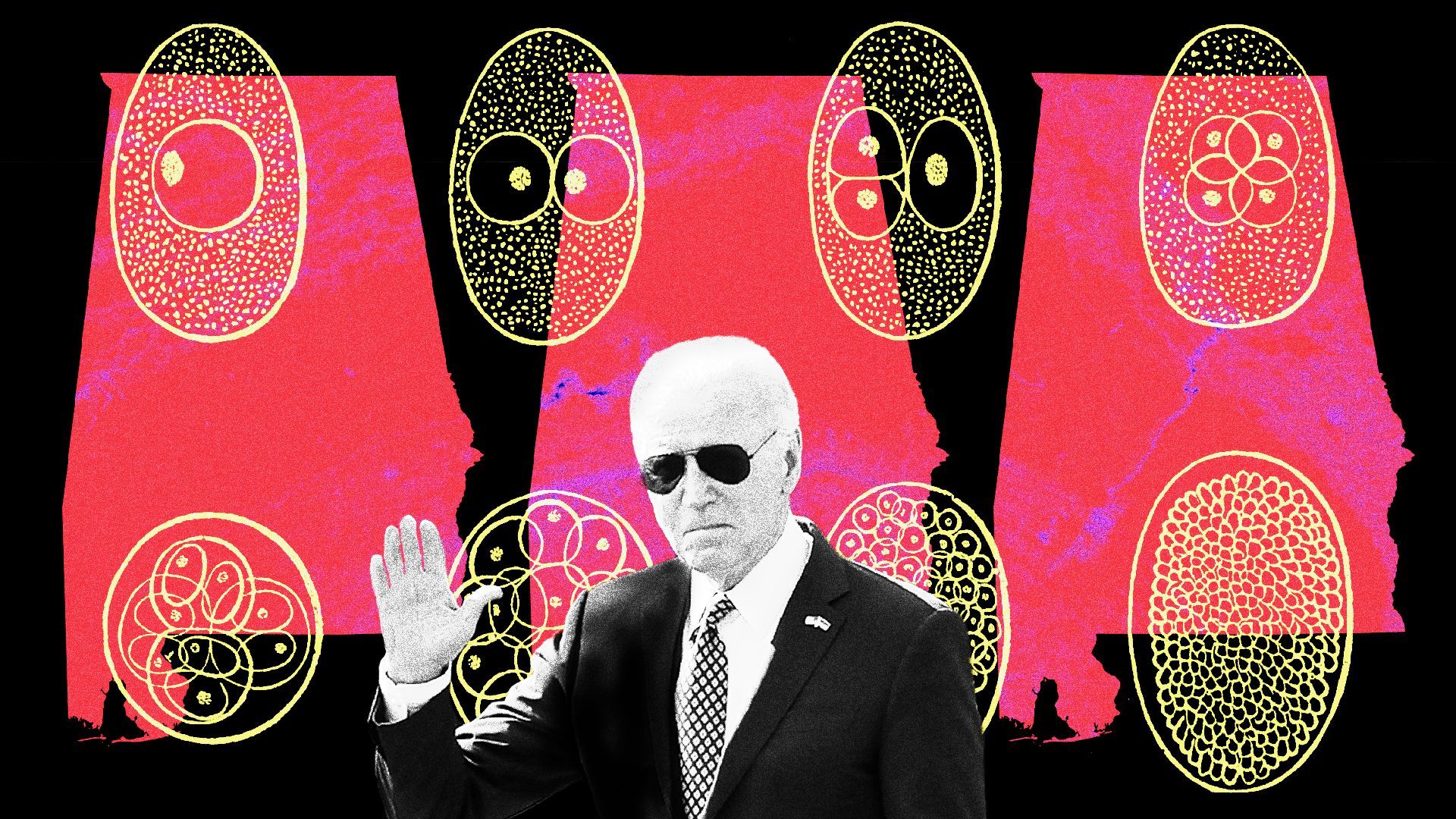 Photo illustration of a collage of Alabama, medical diagrams of human eggs turning into embryos, and President Biden.