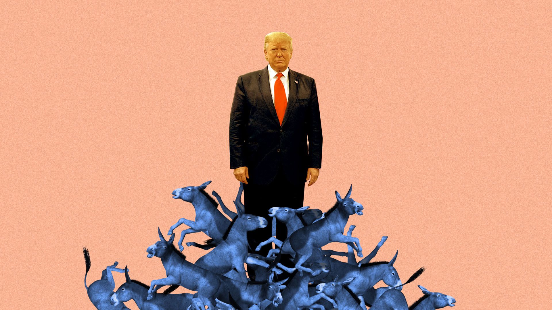 Photo illustration of President Trump standing in a pile of fighting donkeys