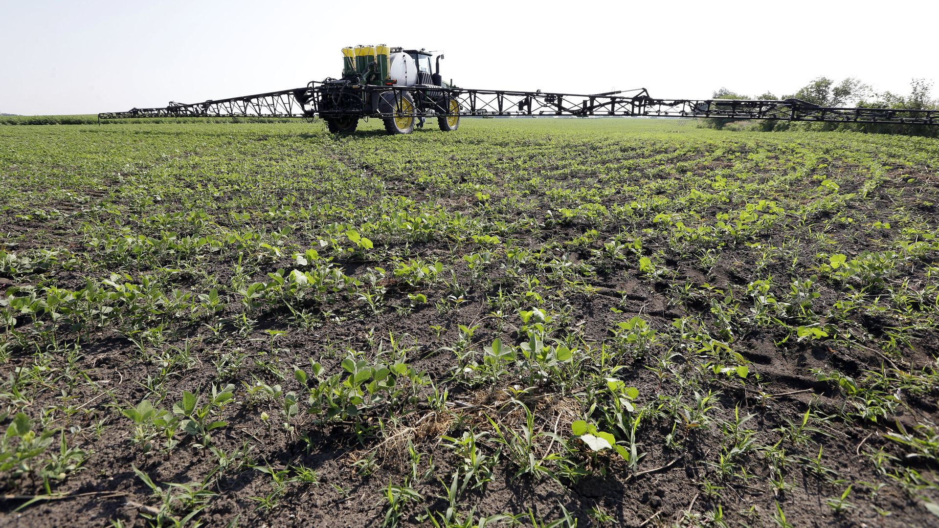 A photo of farm land in Granger.