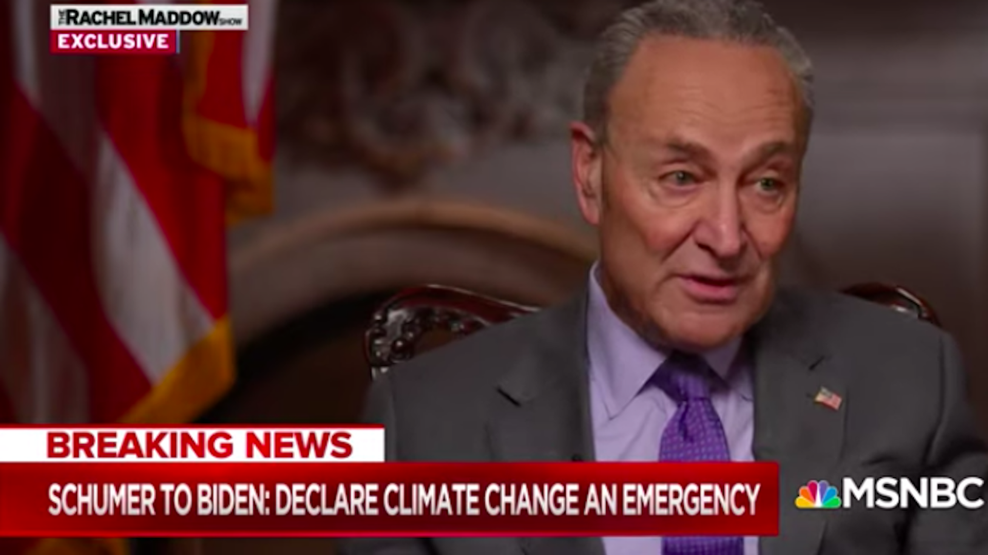 Screenshot of Senate Majority Leader Chuck Schumer on MSNBC