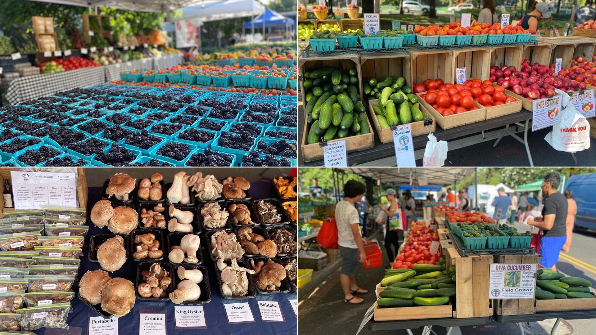 Events in D.C. this weekend Bloomingdale Farmers Market, Slamtastic