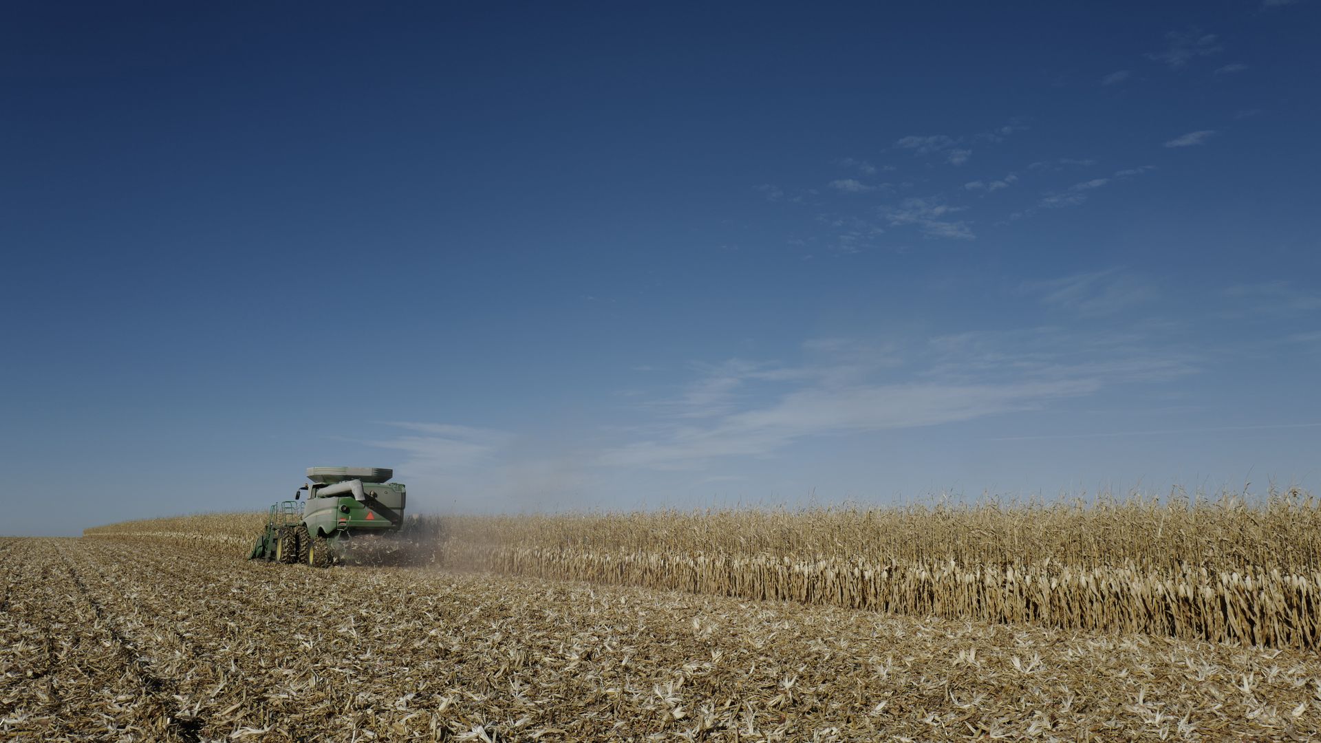 A tractor on a corn field