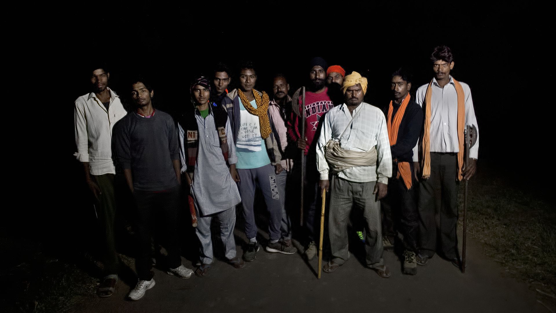Cow vigilantes