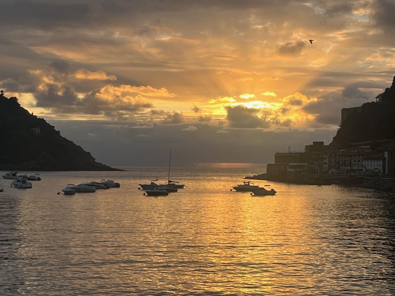 Sunset over a calm harbor with small boats anchored in golden water. Silhouetted hills and a coastal town line the right, clouds glow orange, a bird flies above.