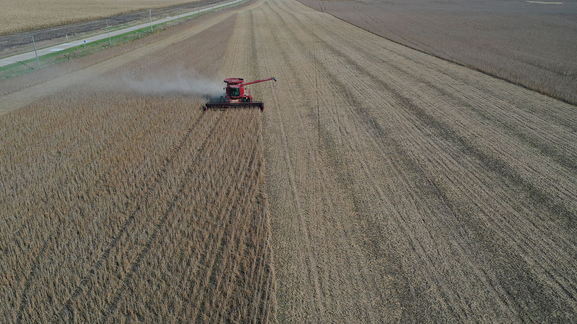 In this image, a combine in Iowa harvests soybeans in a large field