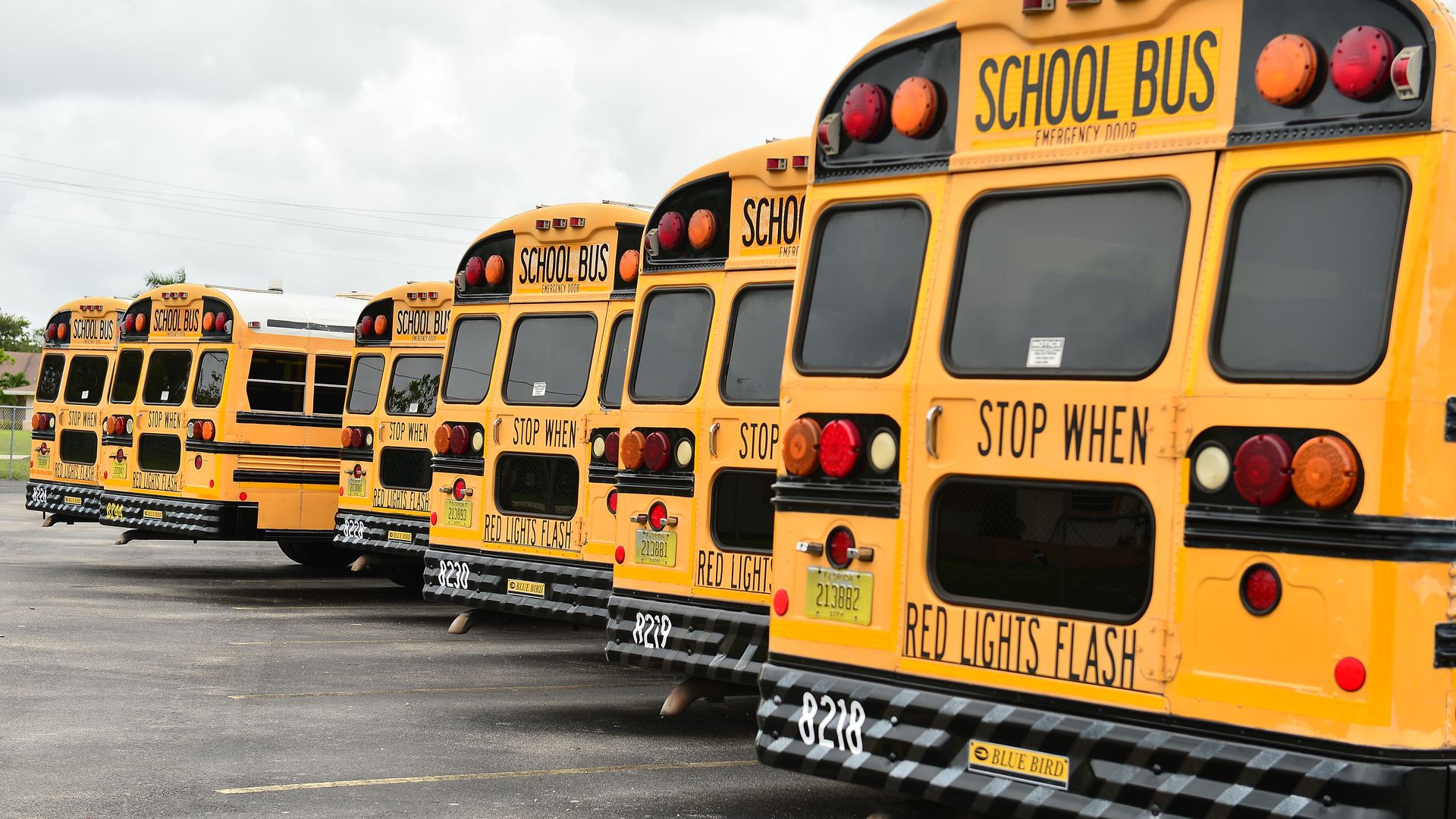 A fleet of Broward County school buses in a parking lot in July 2020 in Pembroke Pines, Florida.