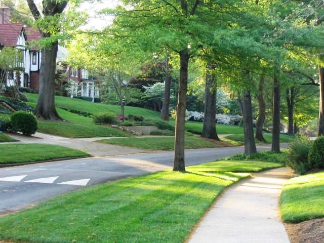 myers park neighborhood