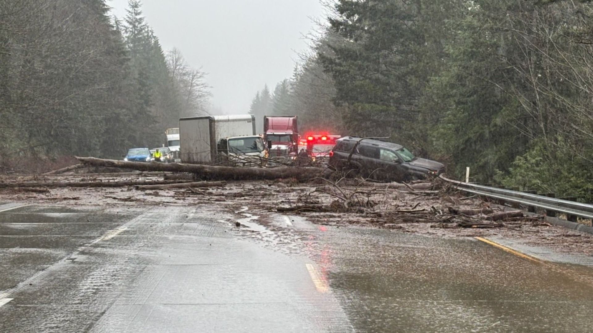 Wet road blocked by large fallen tree and debris with several vehicles stopped, including a black SUV and trucks, emergency lights flashing, surrounded by dense green trees and overcast sky.