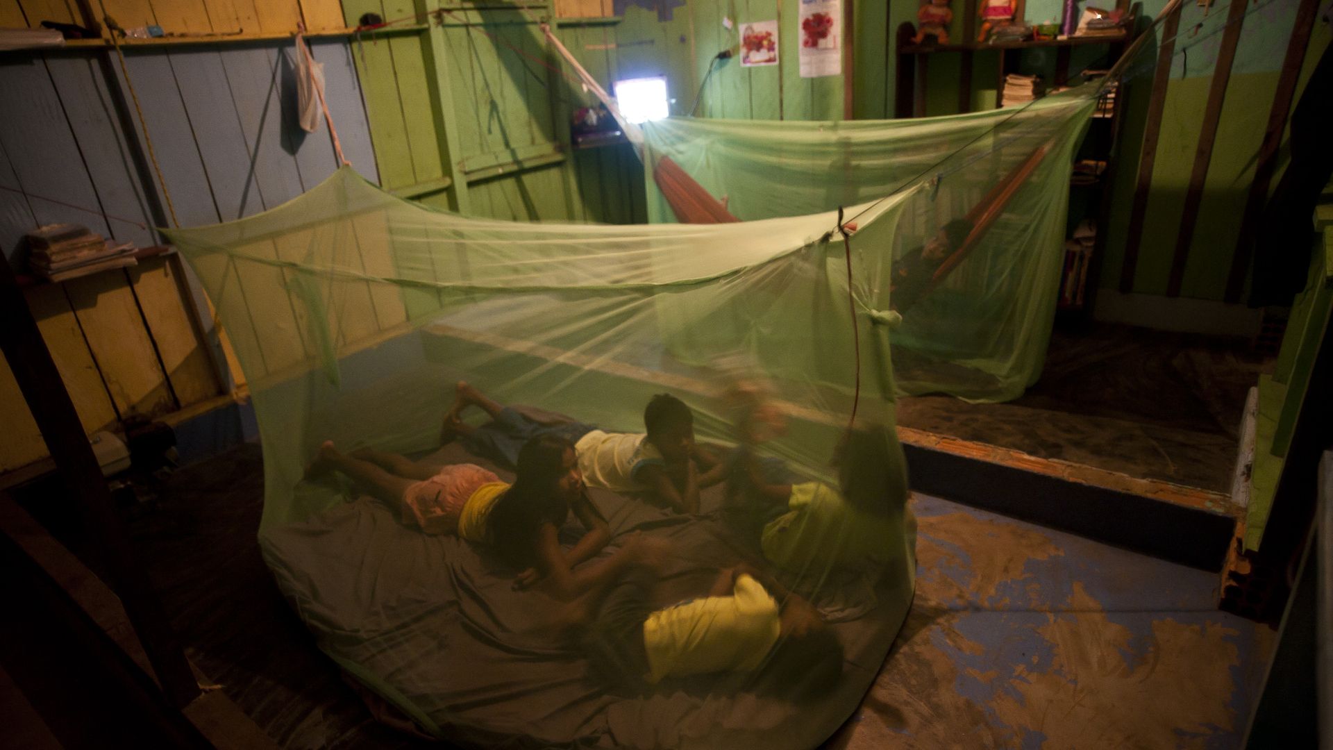 Family under a vaccine net