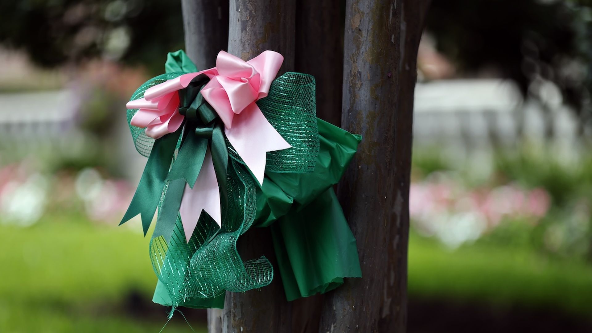 Green decorative bow and pink ribbon tied to a weathered wooden post in a garden, with white ribbons and green mesh, blurred lawn and flowers in the background.