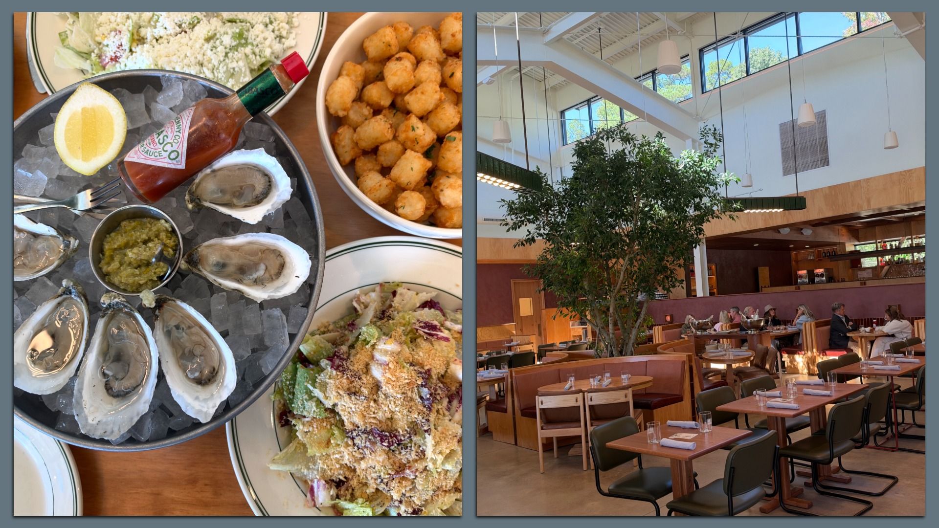 Left: oysters on ice with lemon, cocktail sauce, and fried bites. Right: bright dining hall with a large indoor tree, wooden tables, and diners.
