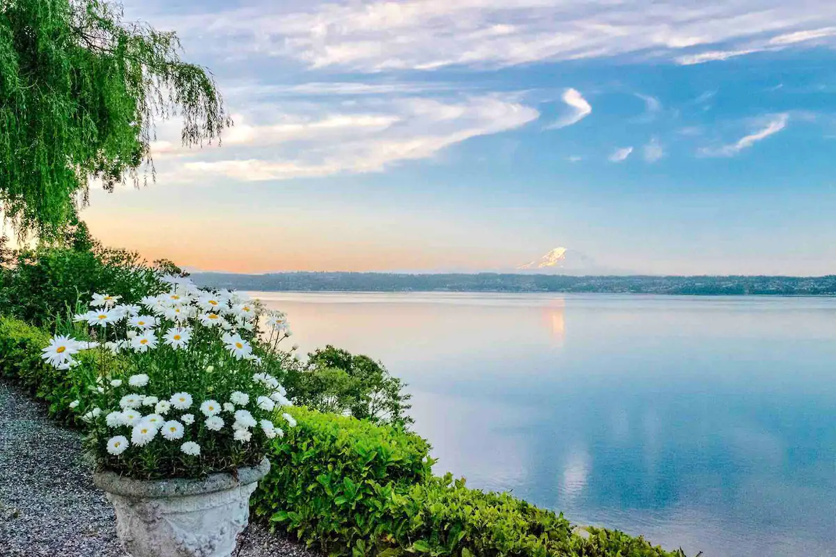 Morning view of the water