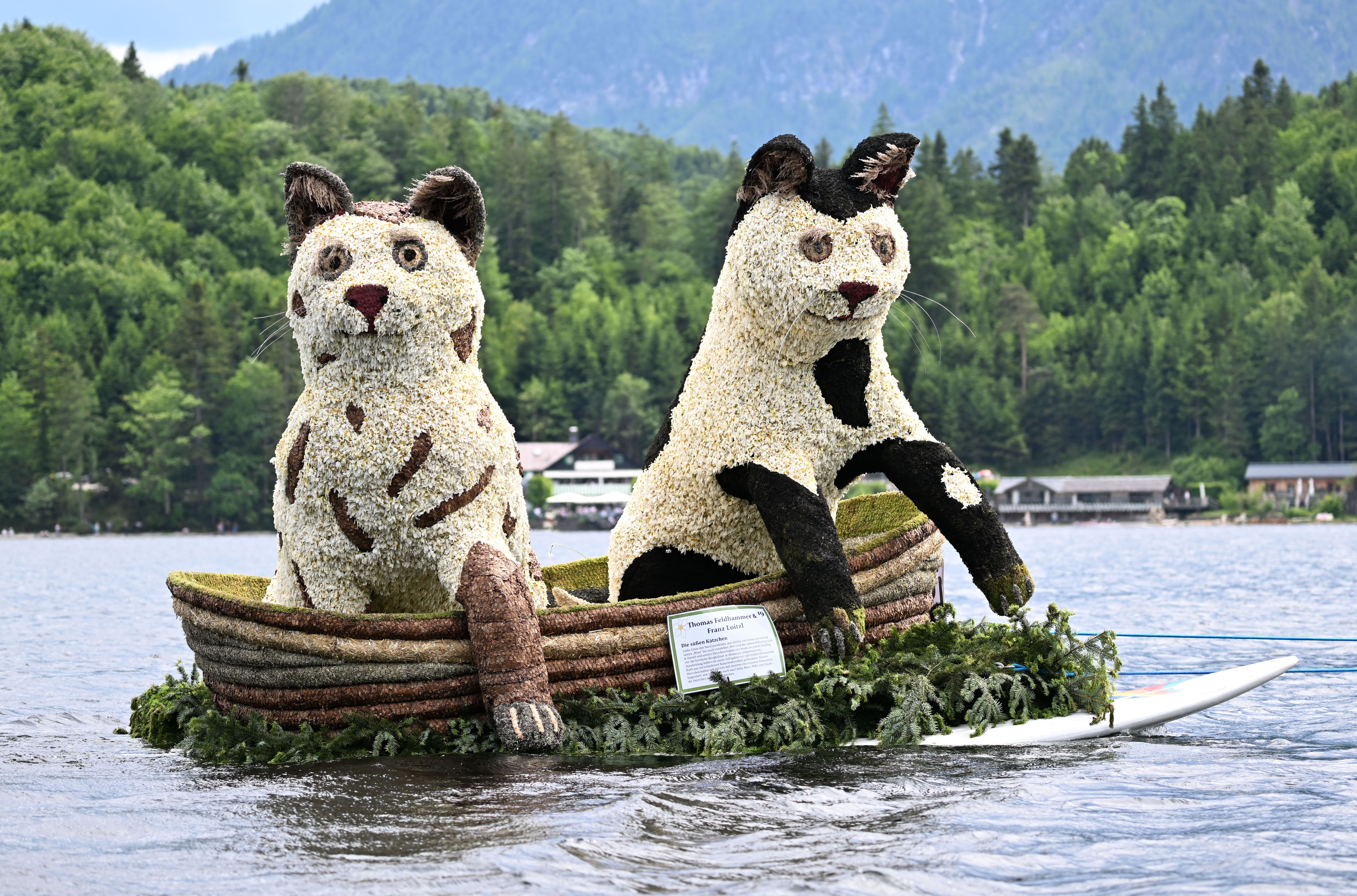  A float with a cat sculpture titled "Sweet Kitten" made of daffodil flowers is seen on the water during the Daffodil Festival (Narzissenfest) in Altaussee, Austria, on June 1, 2025. The flower festival is among the country's biggest folklore events. (Photo by BARBARA GINDL / APA / AFP) / Austria OU