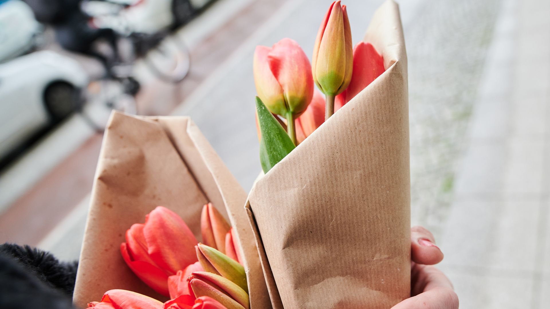 A woman holds tulips wrapped in paper and walks down the street.