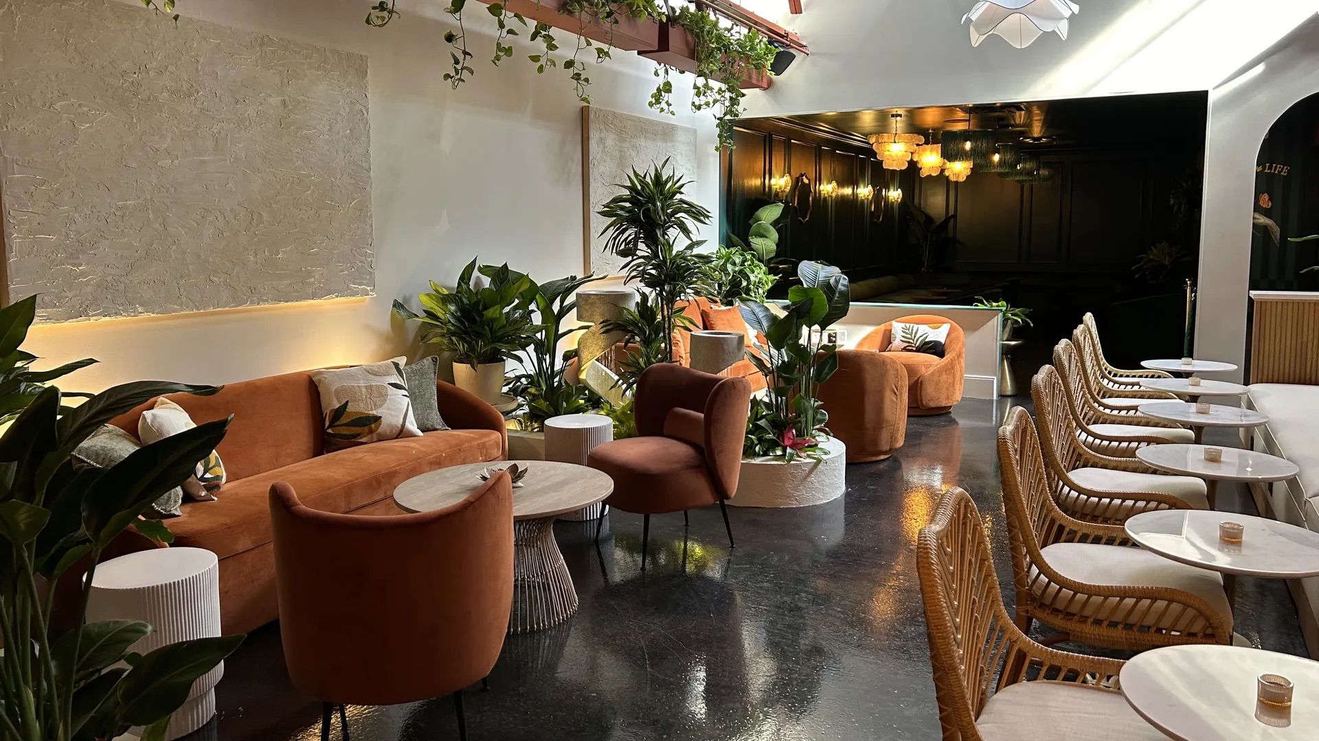 new bar in charlotte