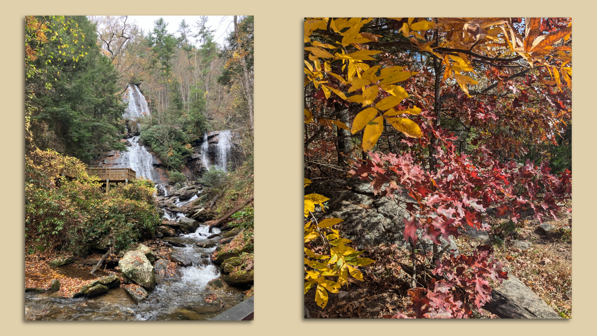 Side by side photos of trees changing colors near a waterfall and along a path