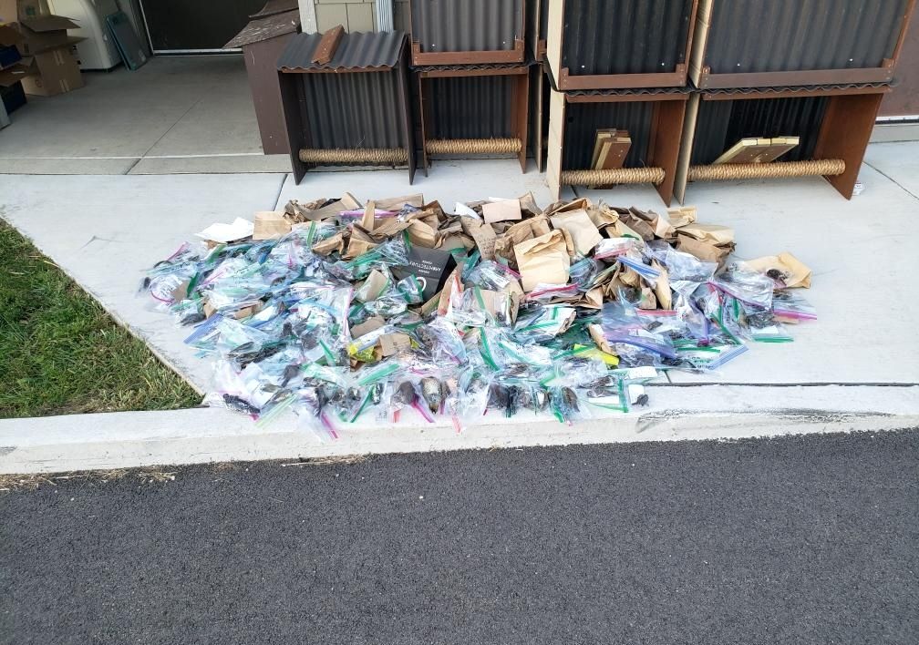 Colorful bags gathered in a pile on a sidewalk with birds in them
