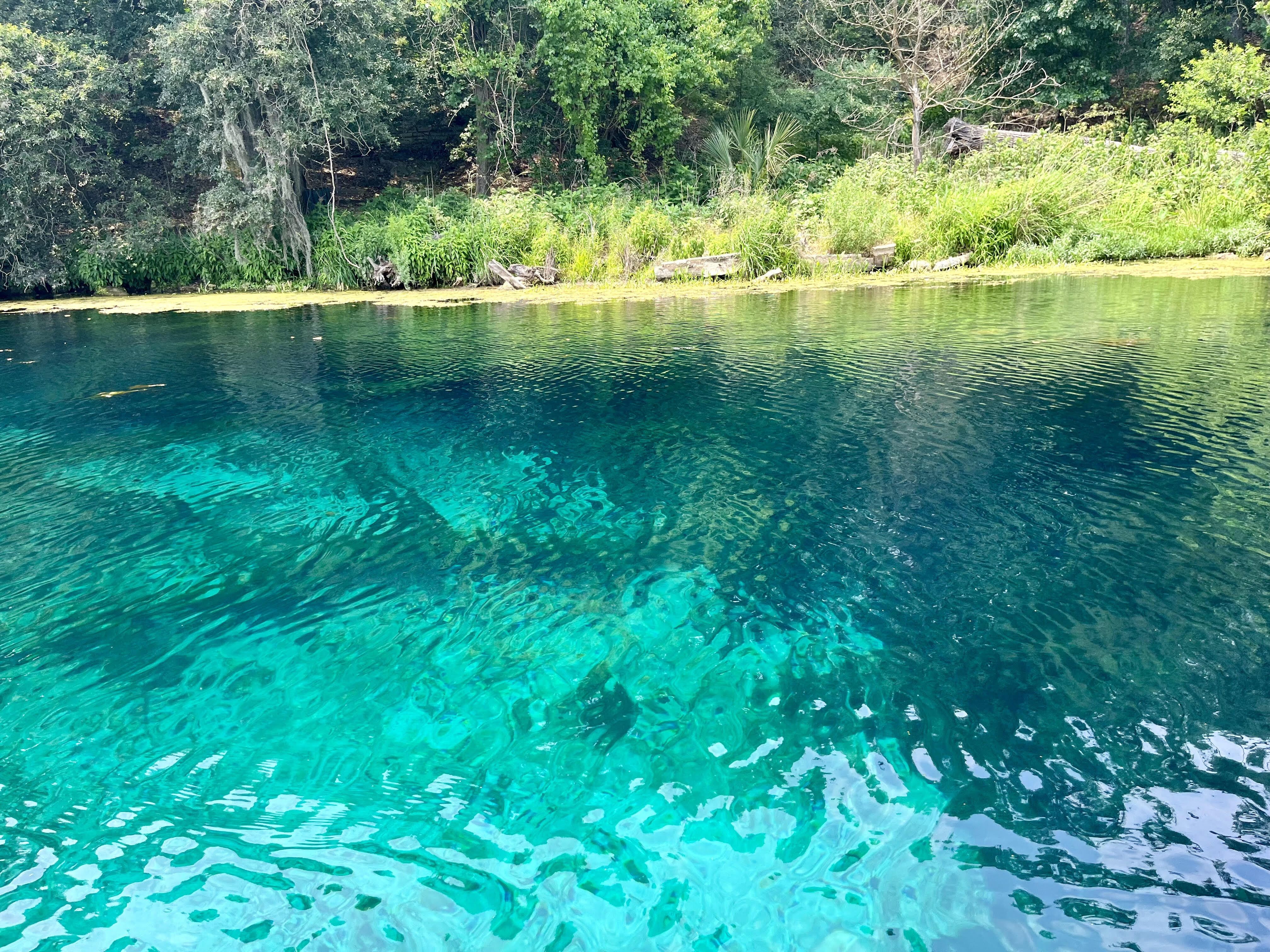 A crystal blue lake surrounded by trees.