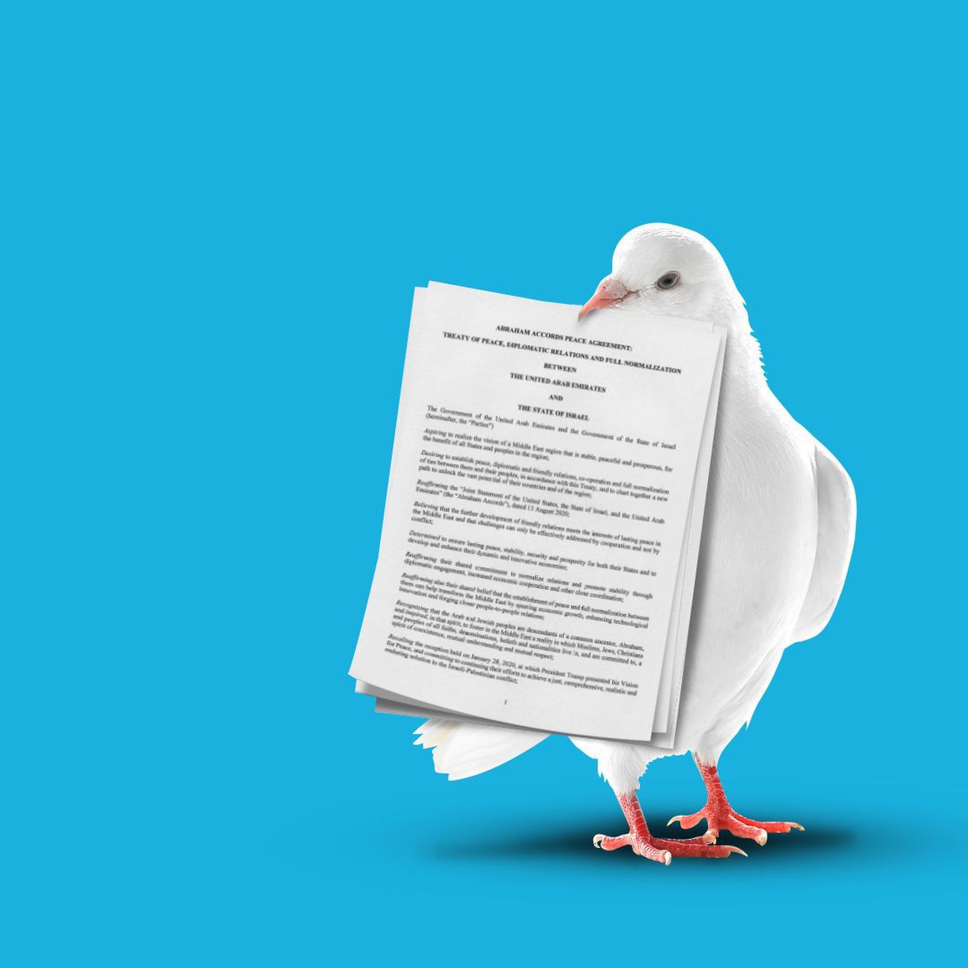 Editorial illustration of a bird holding a paper
