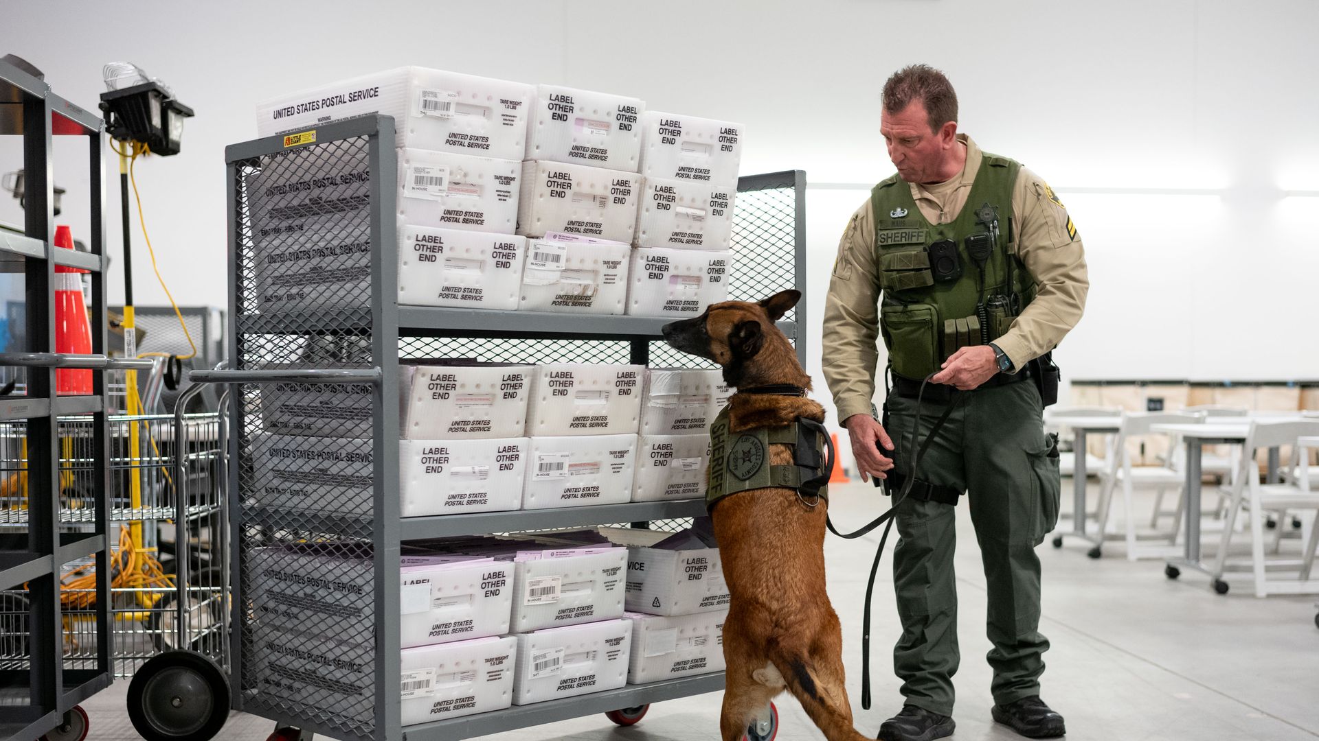 Los Angeles County sheriff's deputy Scott Maus and sheriff's K9 "Kara" check the incoming ballots at the LA County ballot processing center in Industry on Tuesday, October 29, 2024.