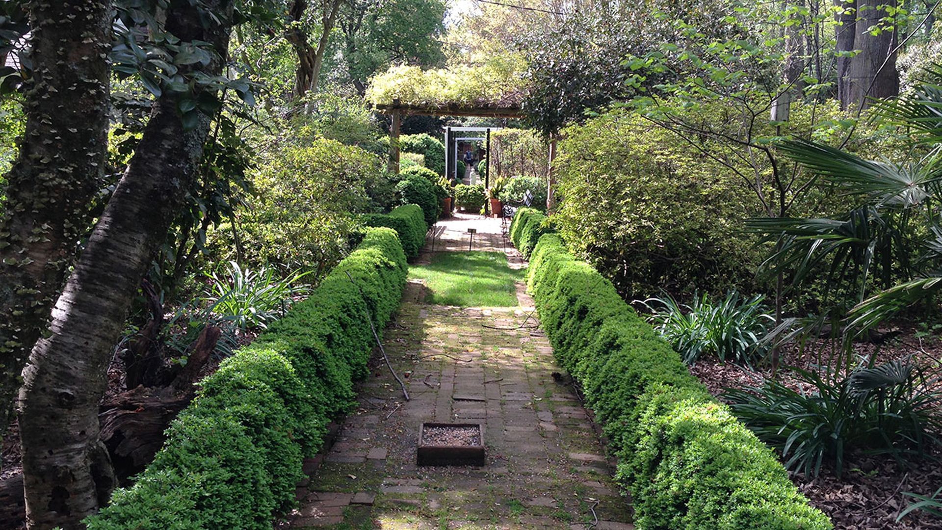 wing-haven-charlotte