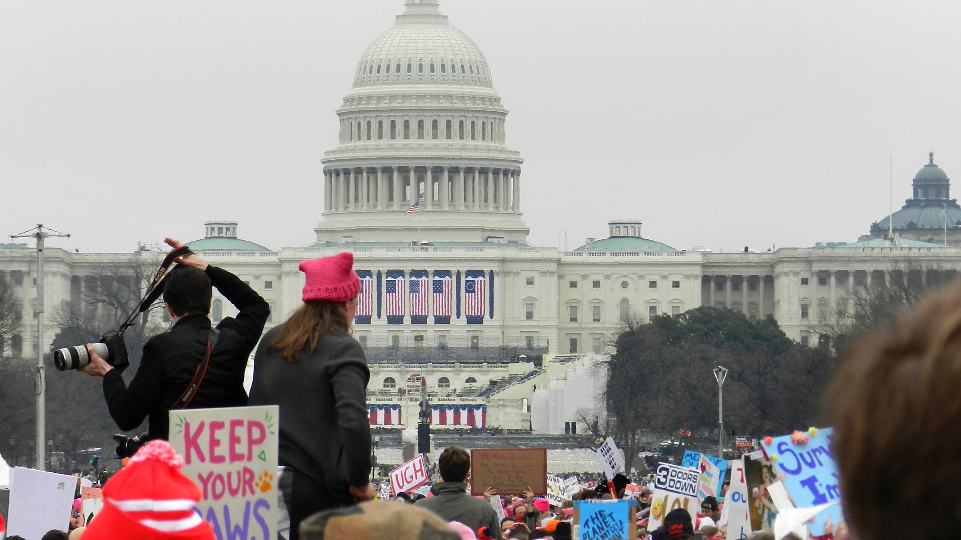 A photo of people protesting in D.C. with the U.S. Capitol in the background.
