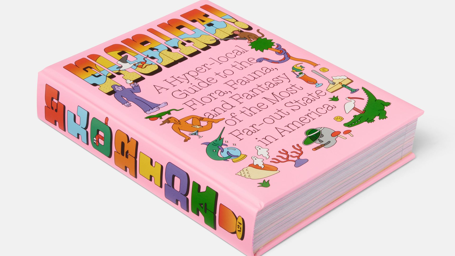 A photo of a colorful book