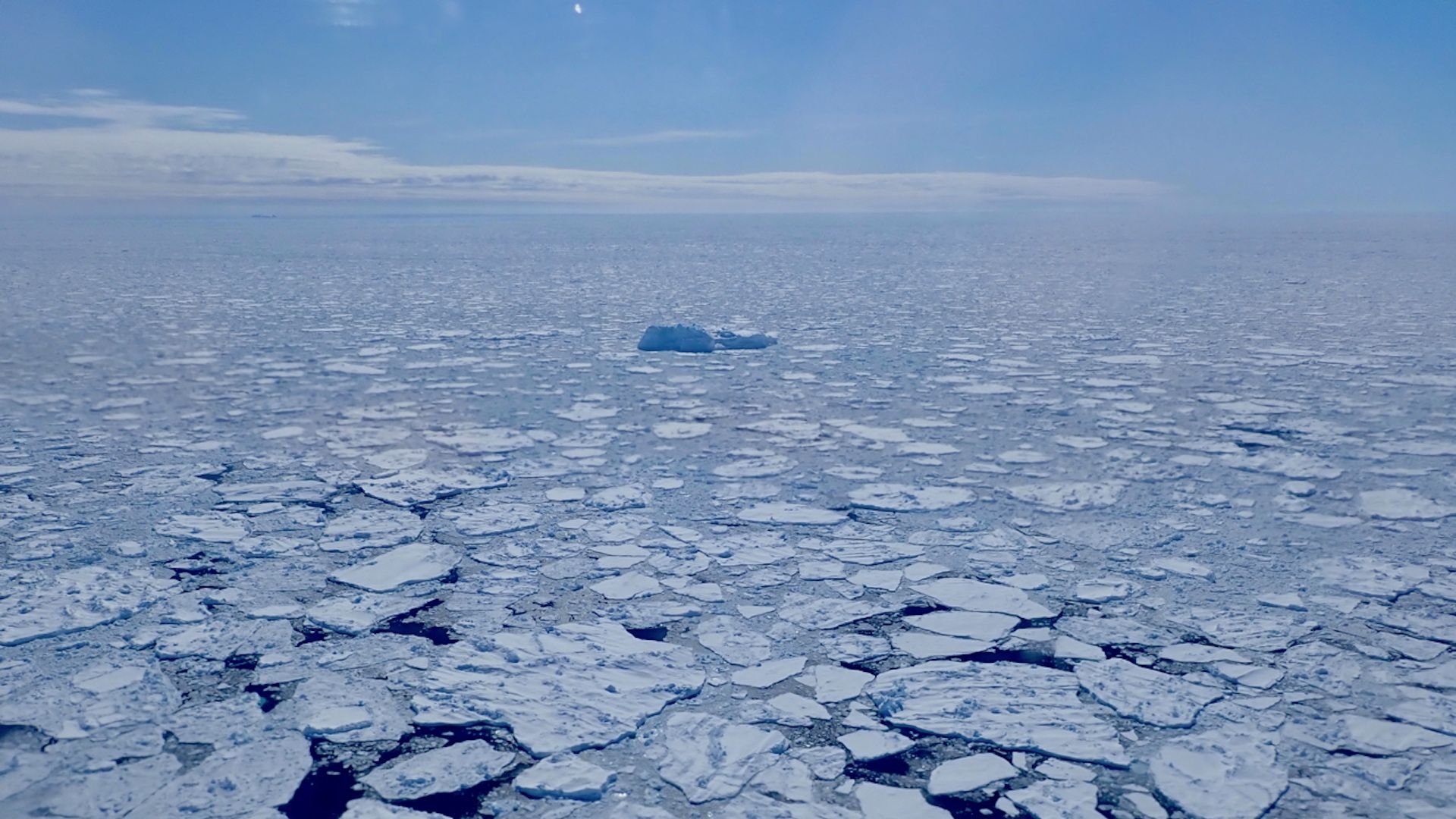 Sea ice off the coast of Greenland