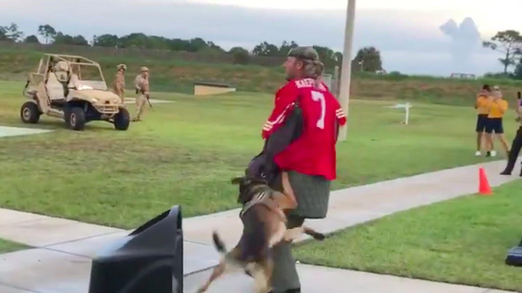 US Navy 'investigating' video showing four military dogs attacking man in Colin  Kaepernick jersey, The Independent