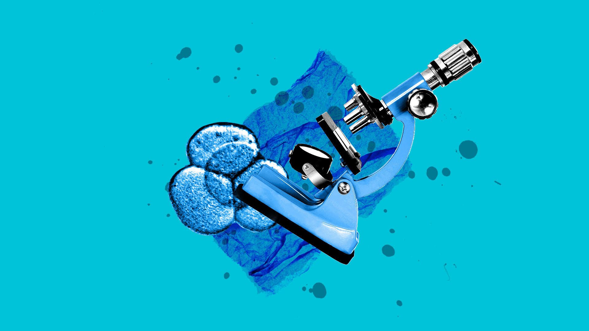 Collage illustration of a microscope and embryonic cells. 
