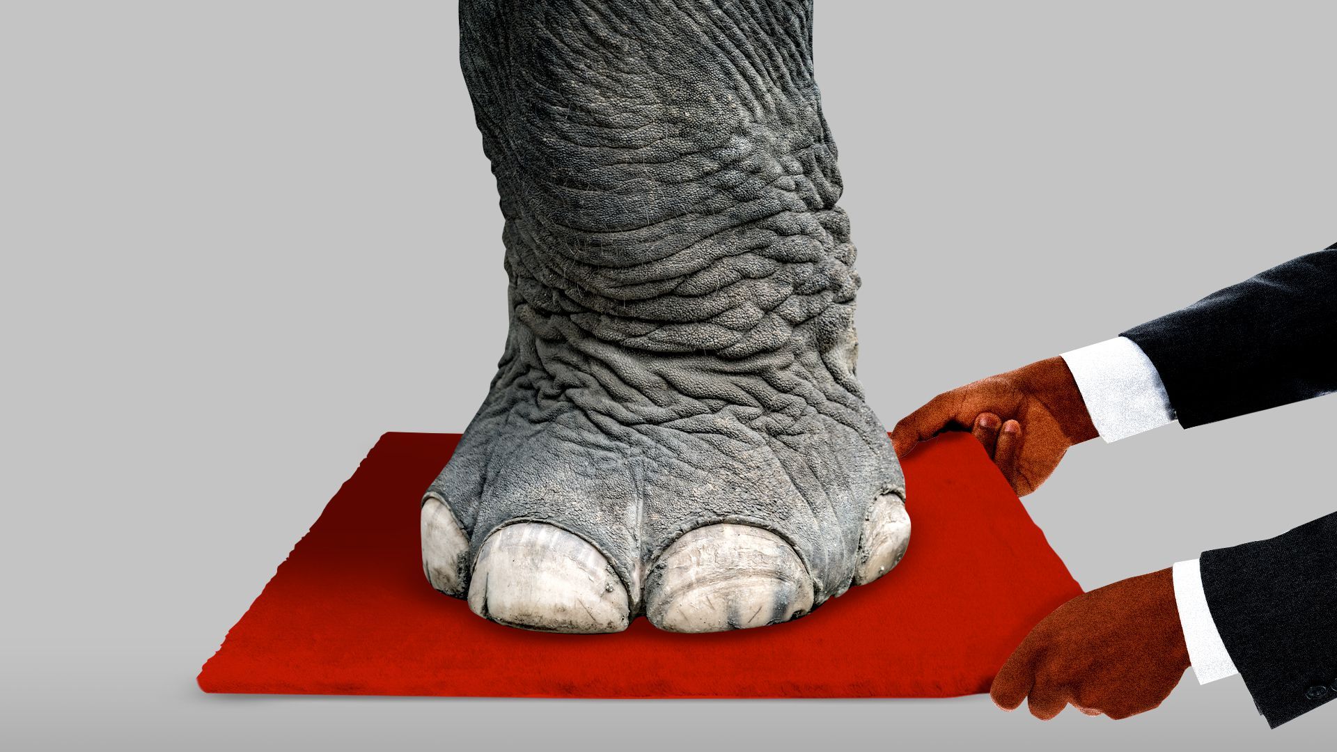 Illustration of a pair of black hands pulling a rug out from underneath an elephant's foot.  