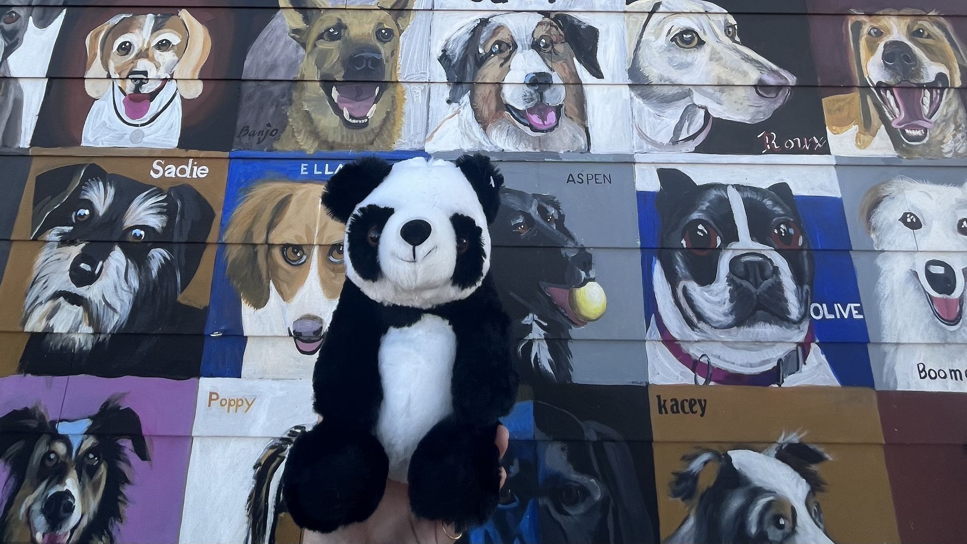 A stuffed panda bear in front of a mural depicting a series of dog portraits.